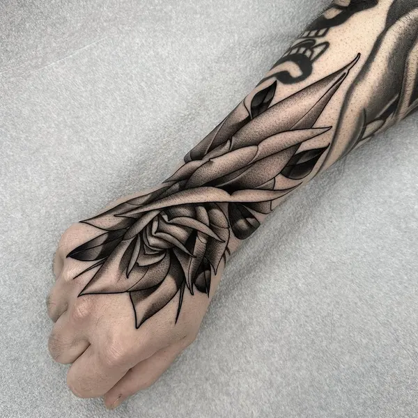 Flower, Rose