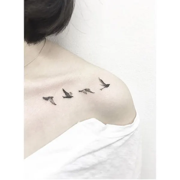 equilattera