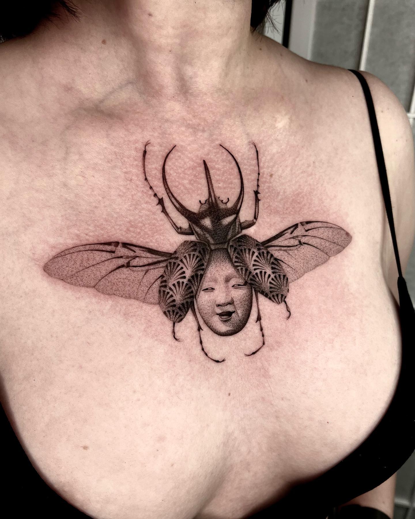 딱정벌레