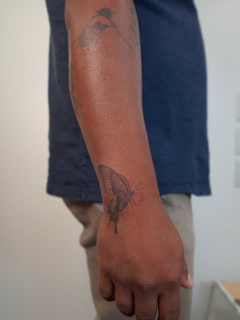 Animal, Nature