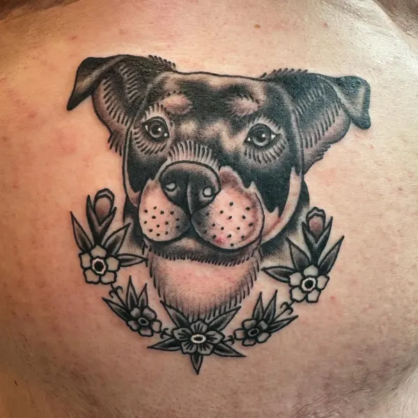 Animal