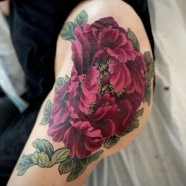 Flower, Rose