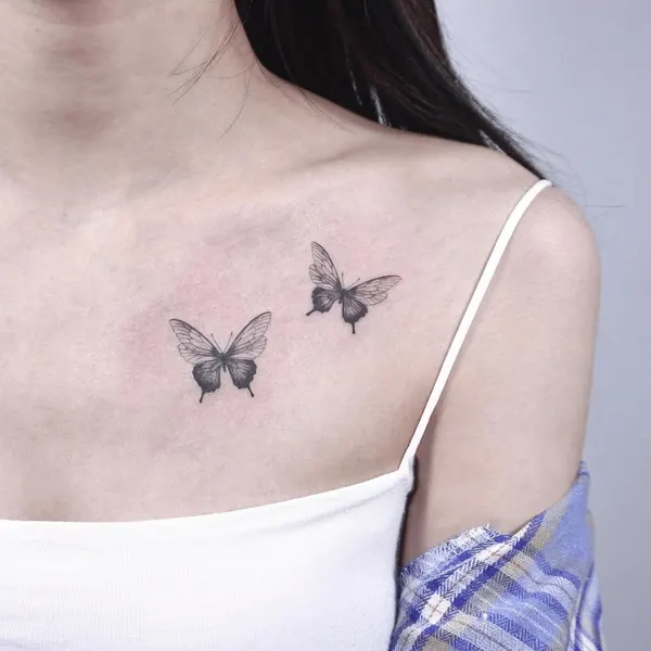 Animal, 나비, 나방