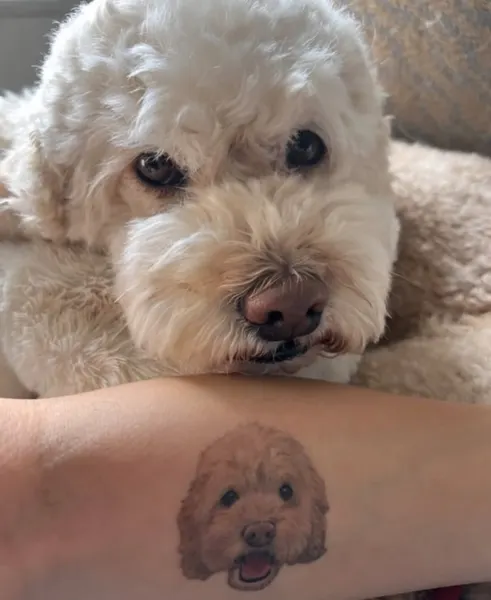 Animal