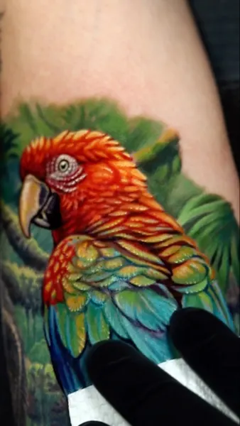Animal, Nature