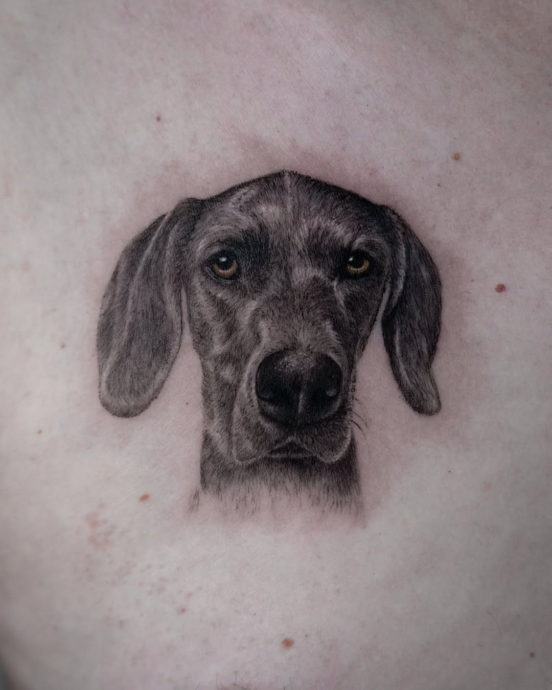 lewis.tattoo