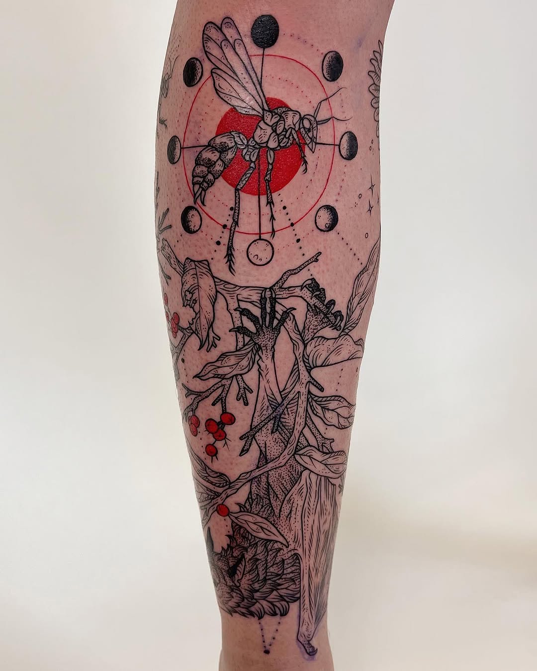 freeorgy
