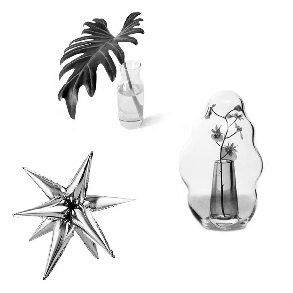 plantsnpokes