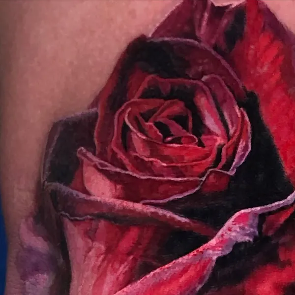 Flower, Rose