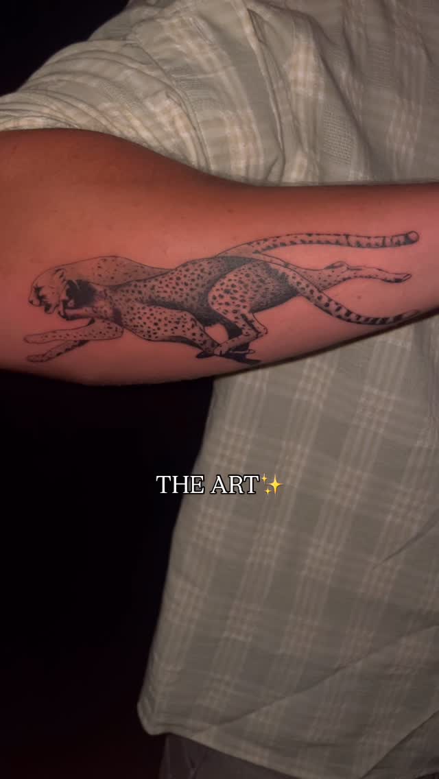 Tiger, Animal