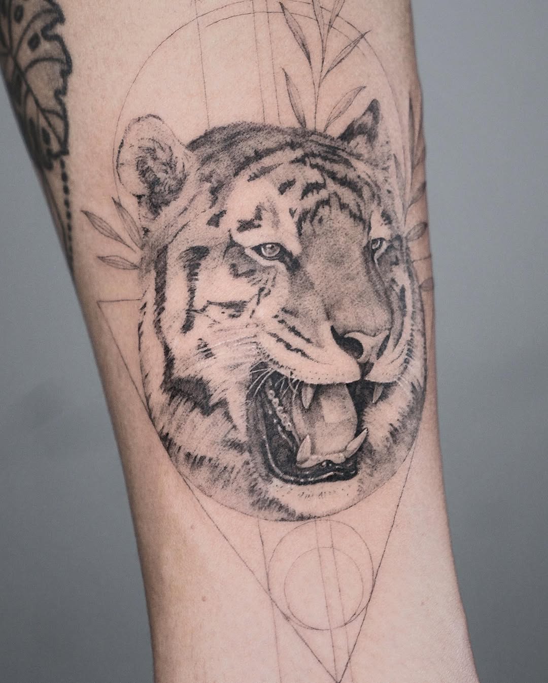Tiger, 중국 호랑이