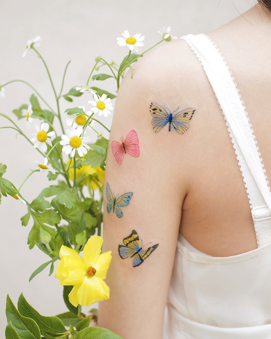 Animal, Nature, Flower