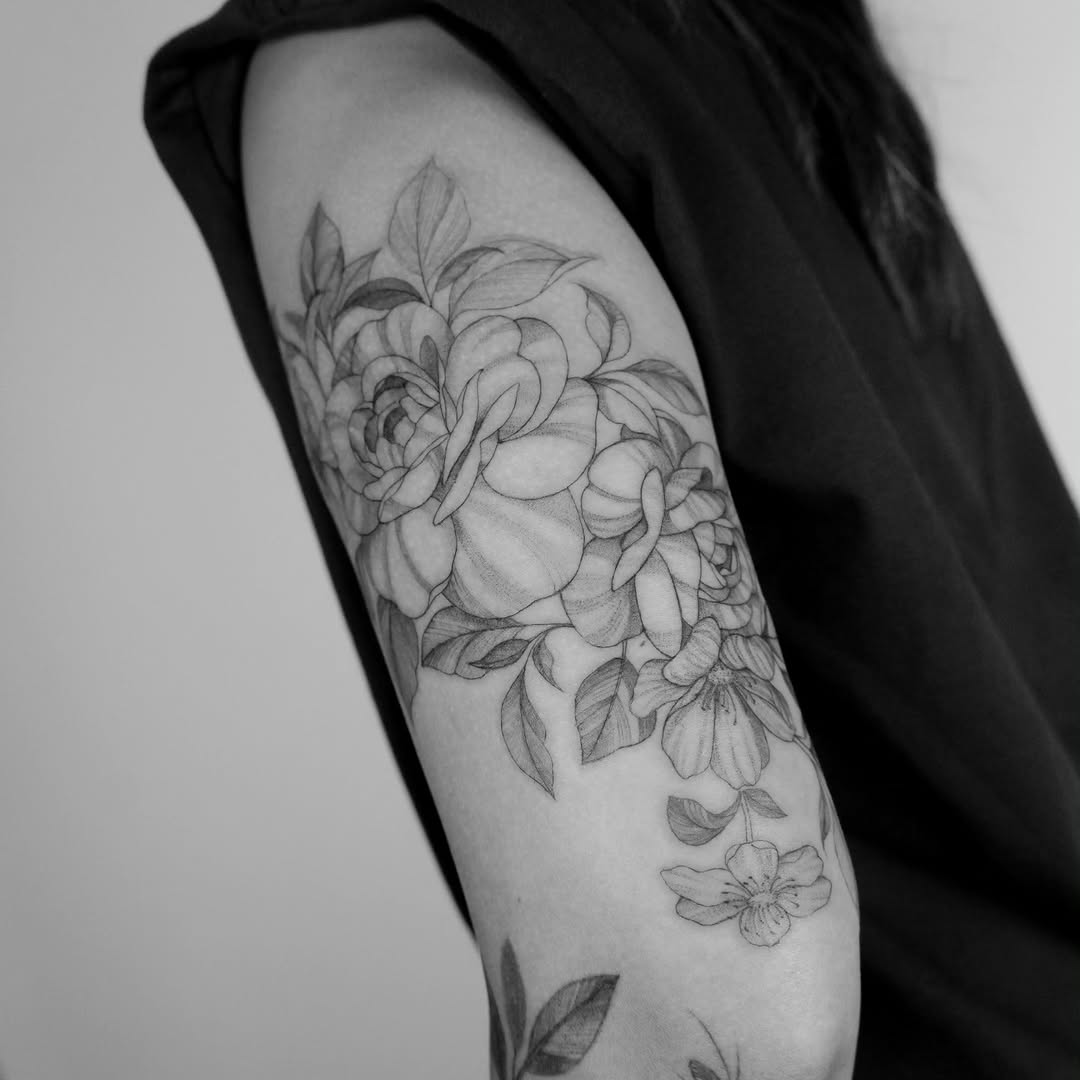 Flower, Rose, Nature