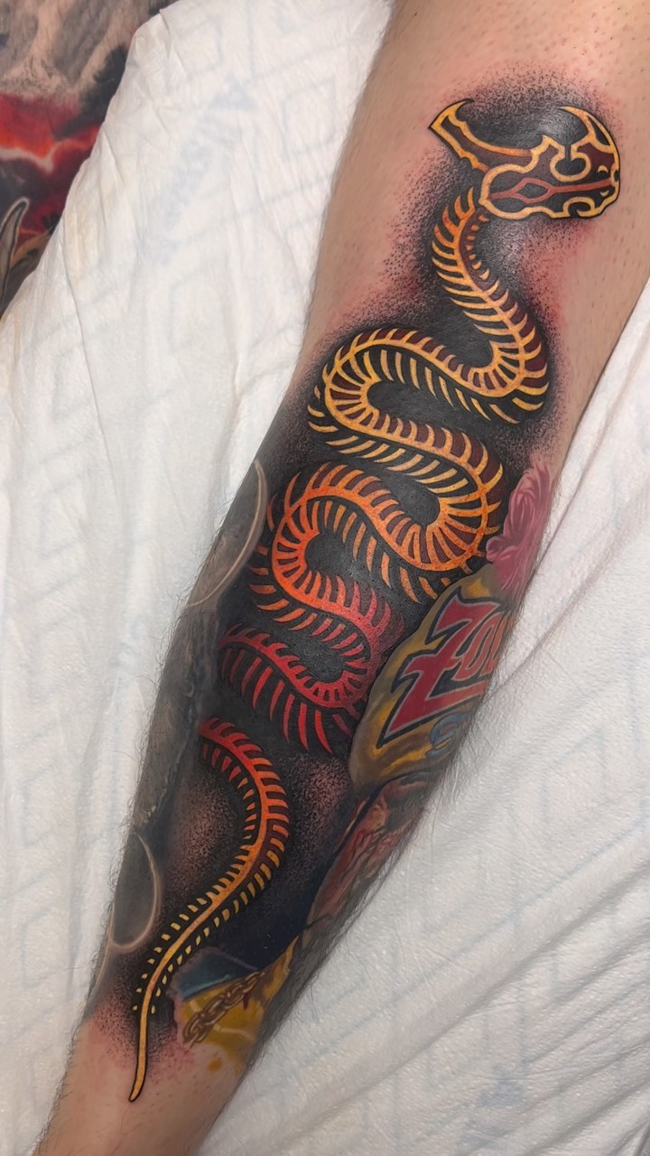 Dragon