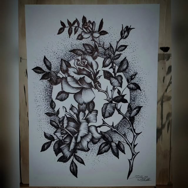 Flower, Rose, Nature