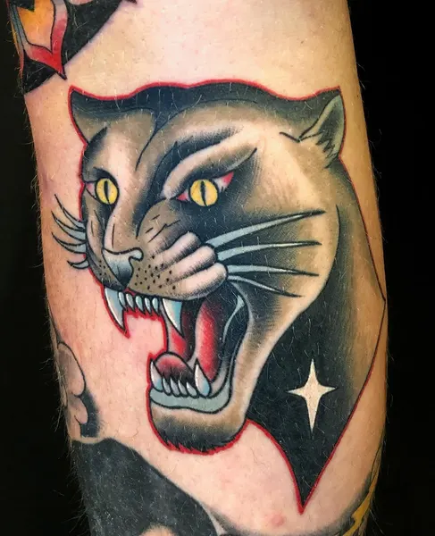 Tiger, Animal