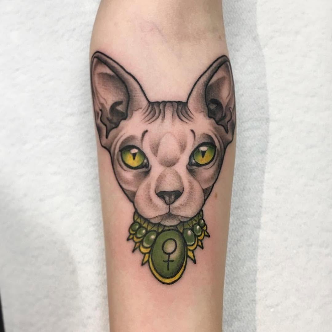 Animal