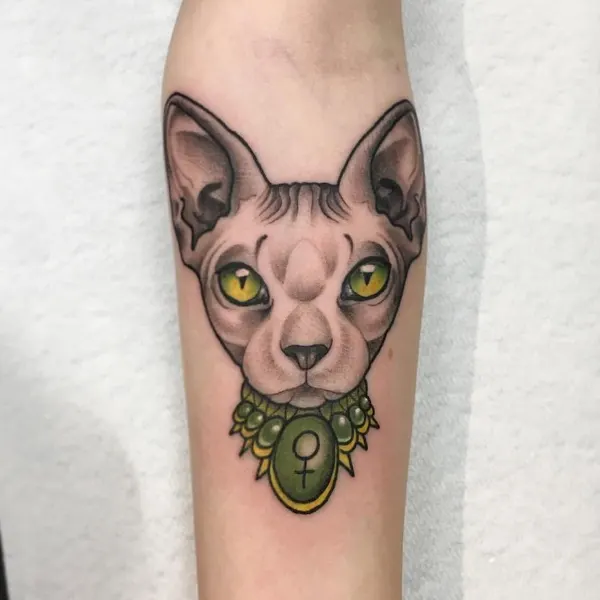 Animal