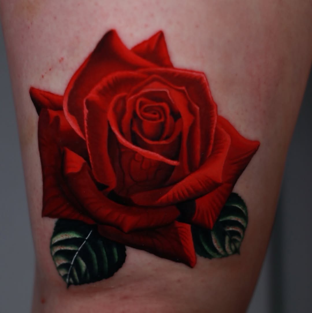 Flower, Rose