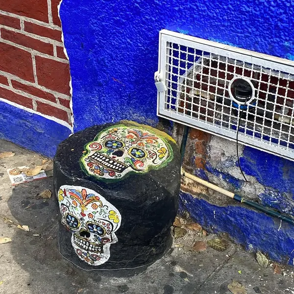 miguelochoa