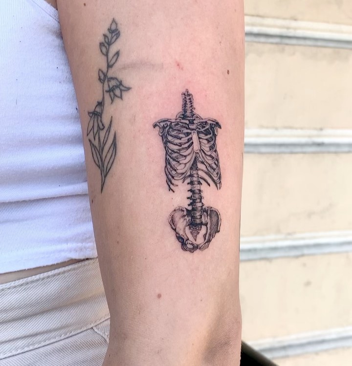 olivia.tats