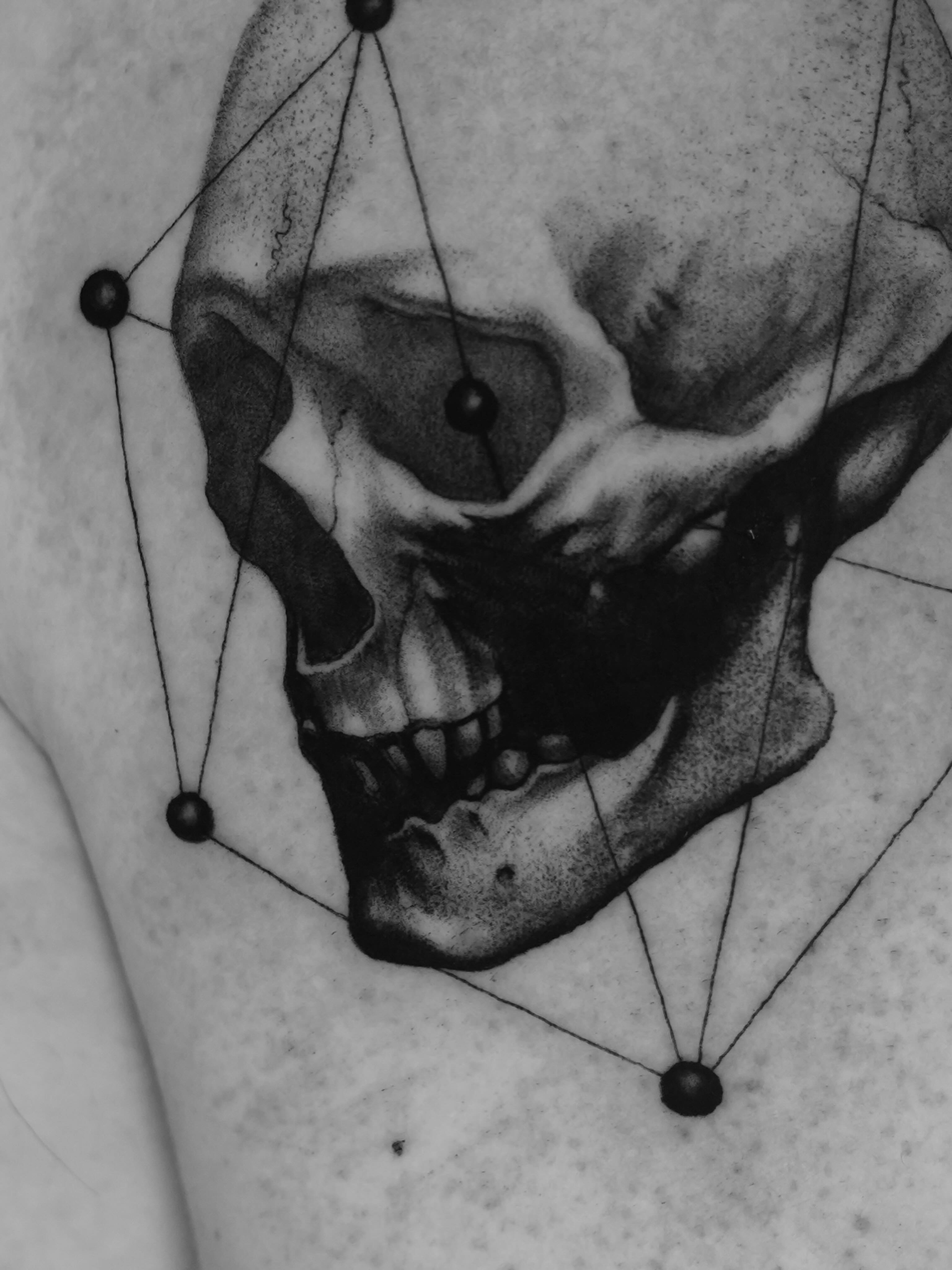 Skull