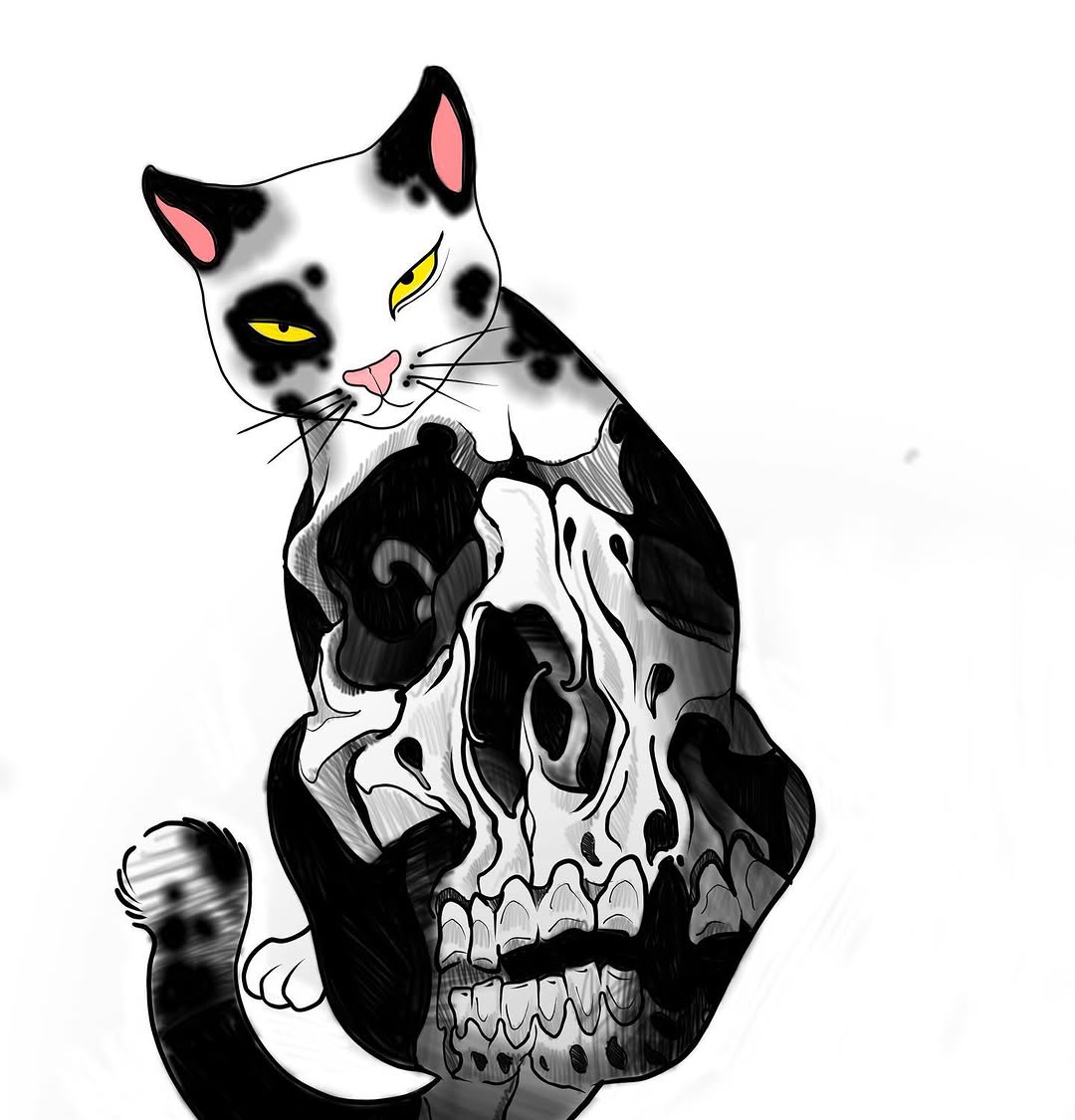 Animal