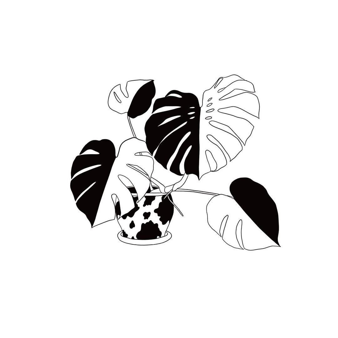 plantsnpokes