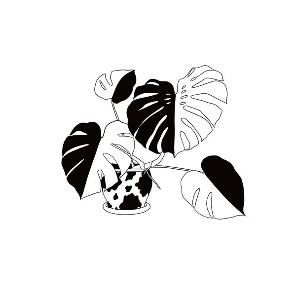 plantsnpokes