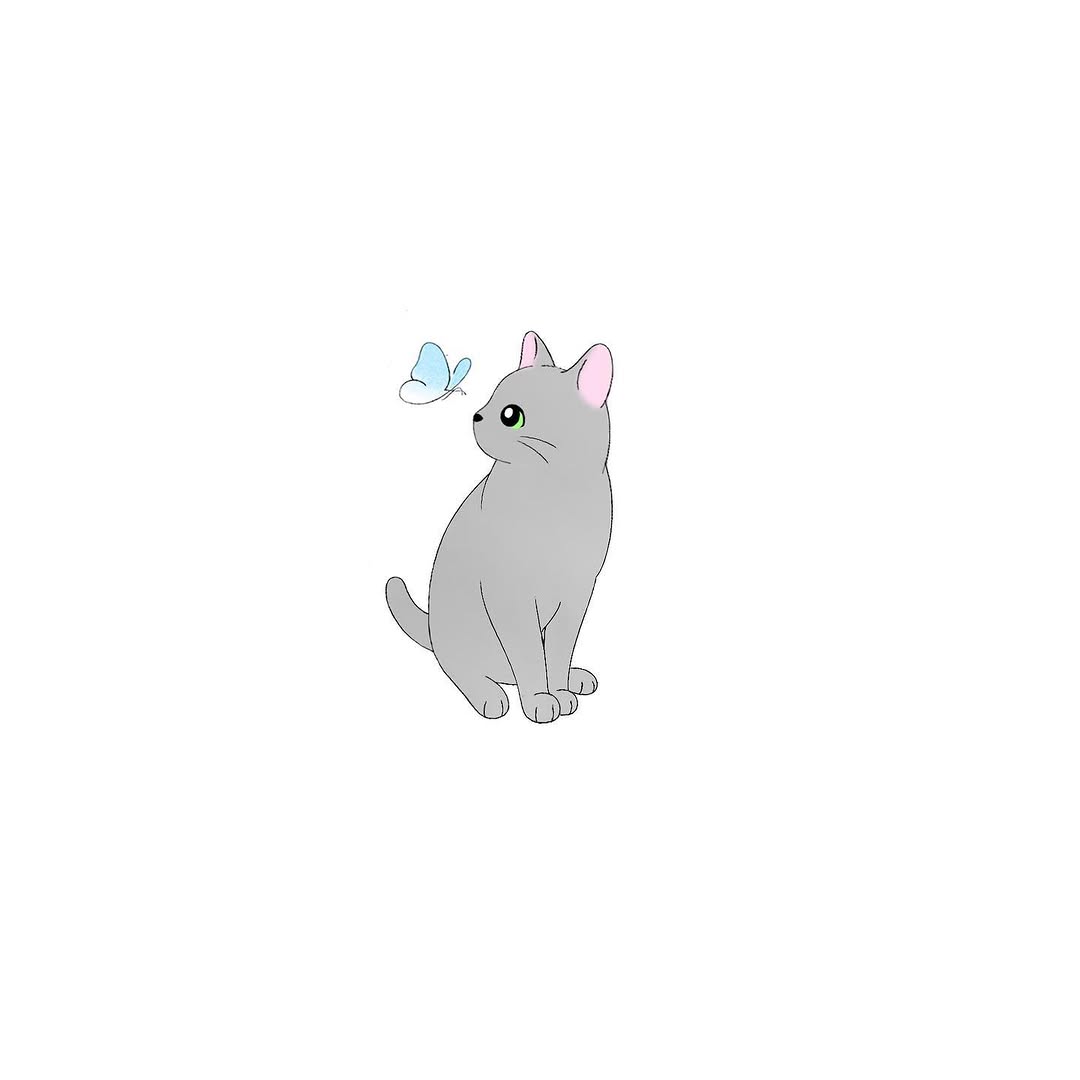 Animal