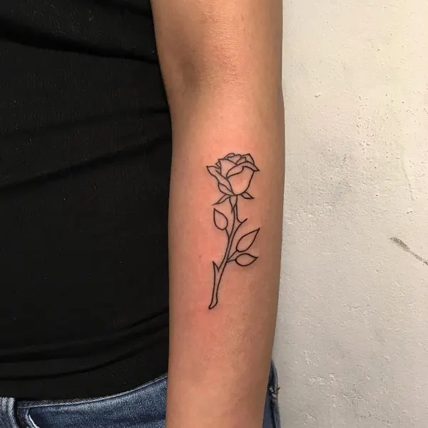 Flower, Rose