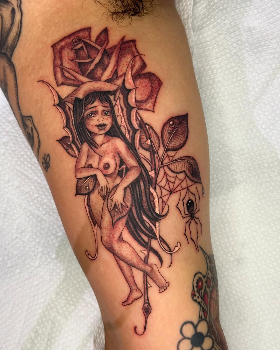 Flower, Rose