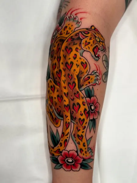 Tiger, Animal, 표범