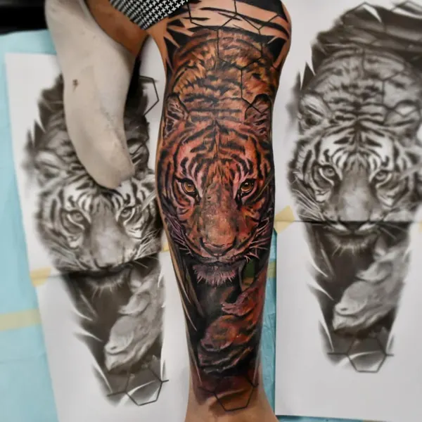 Tiger