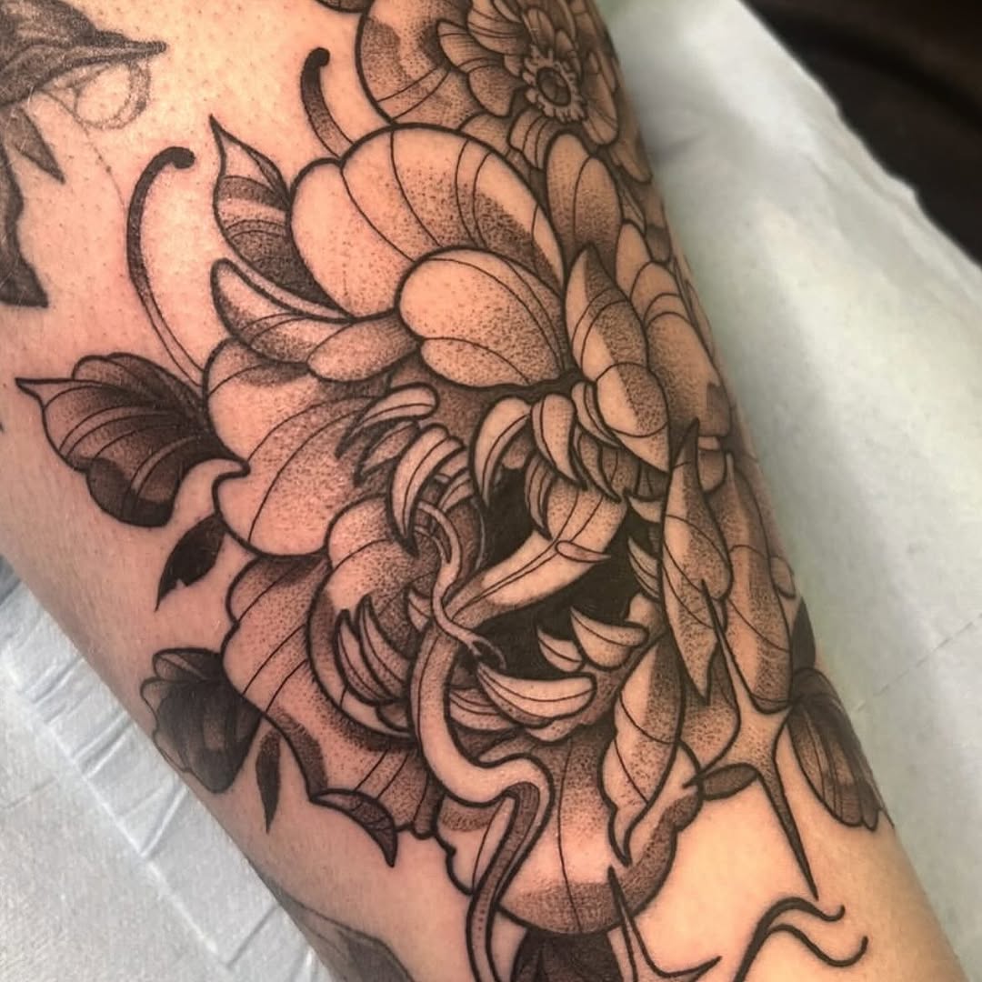 sarastigmata