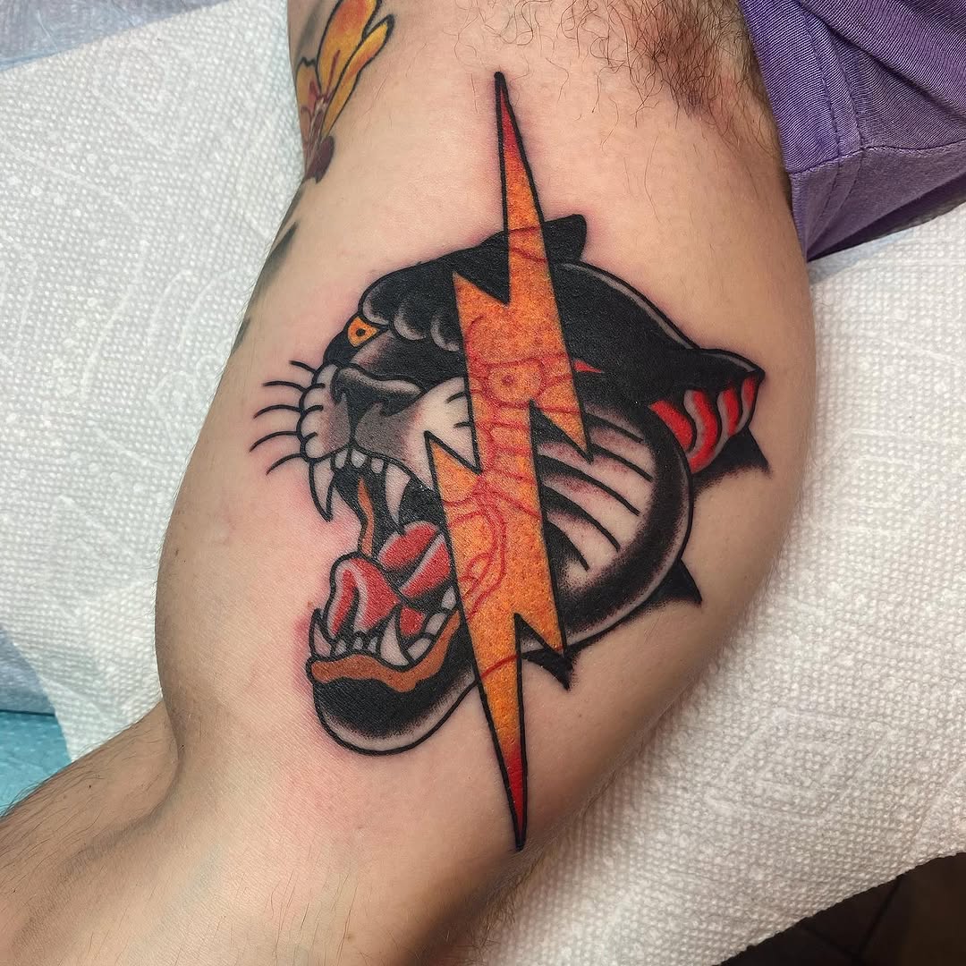 Tiger, Animal