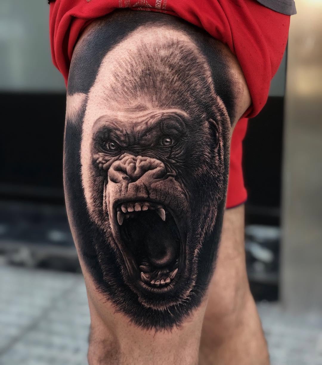 Tiger, Animal, 고릴라