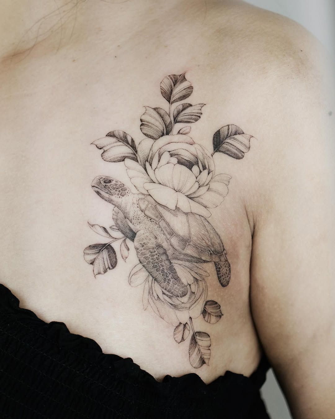 Flower, Nature, Rose