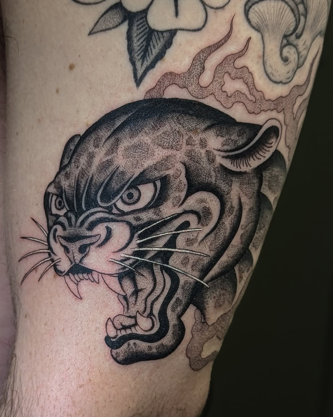Tiger, Animal