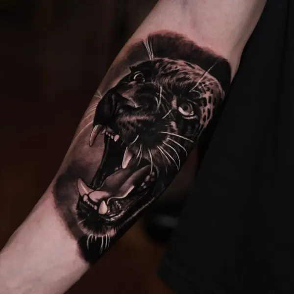 Tiger, Animal