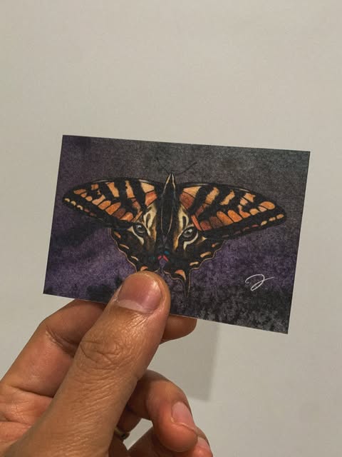 Animal, Nature