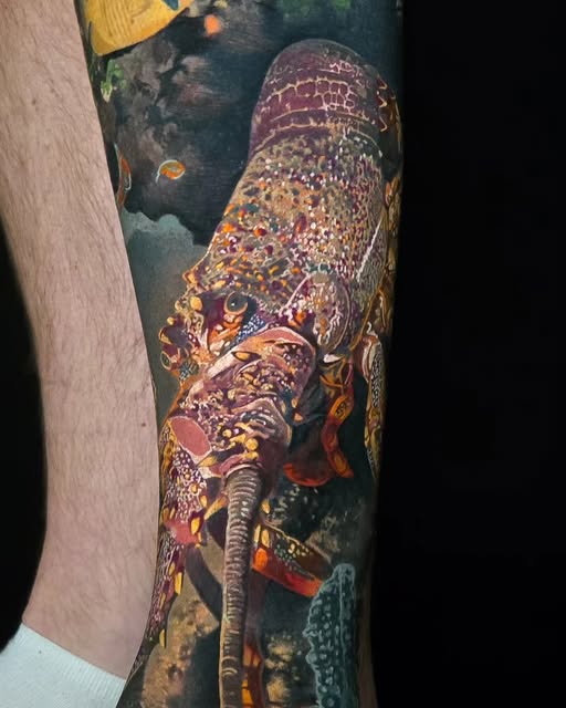 Flower, Nature, Animal, Rose