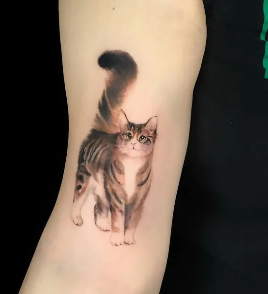 고양이, 여우 가면