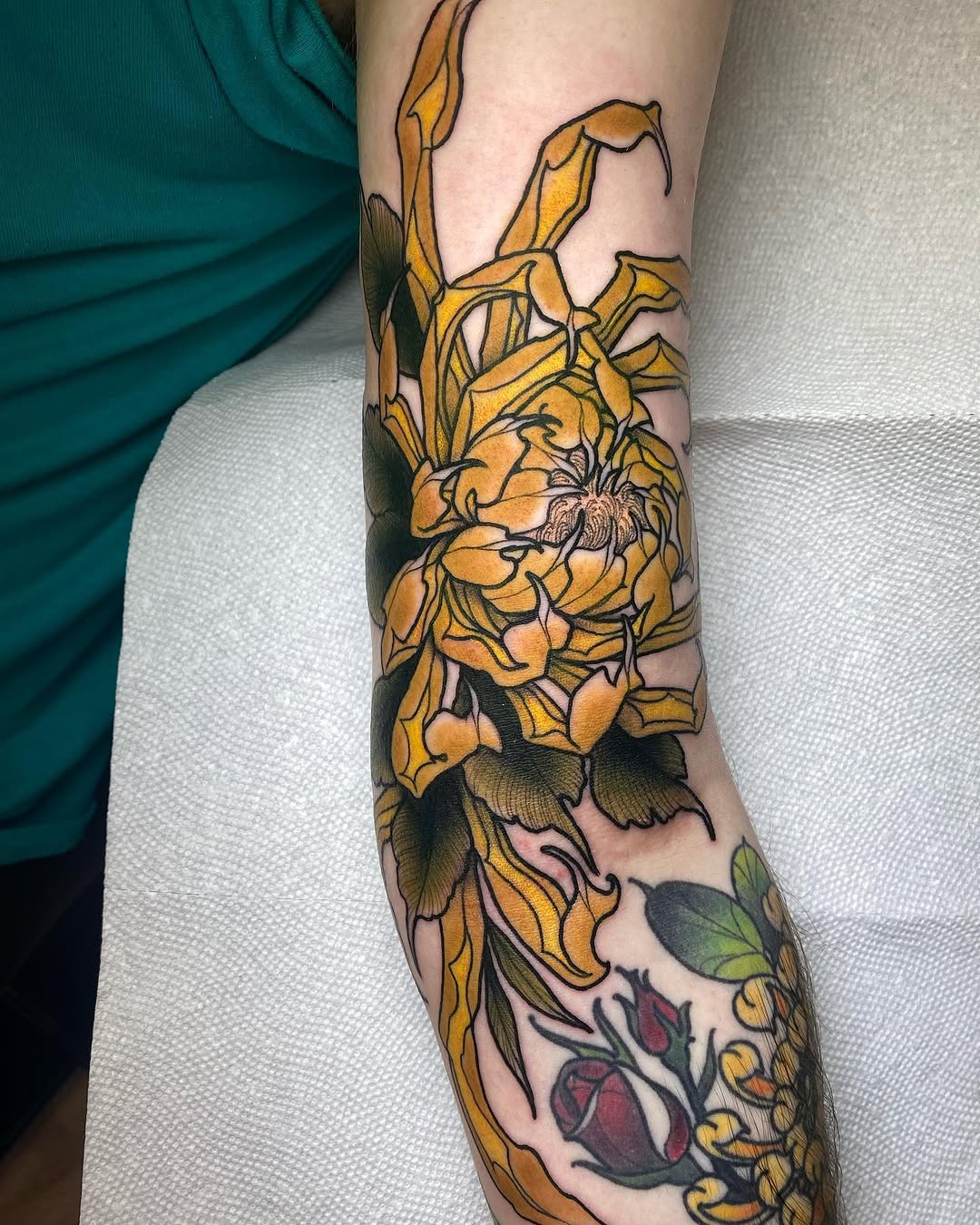 Flower, Rose