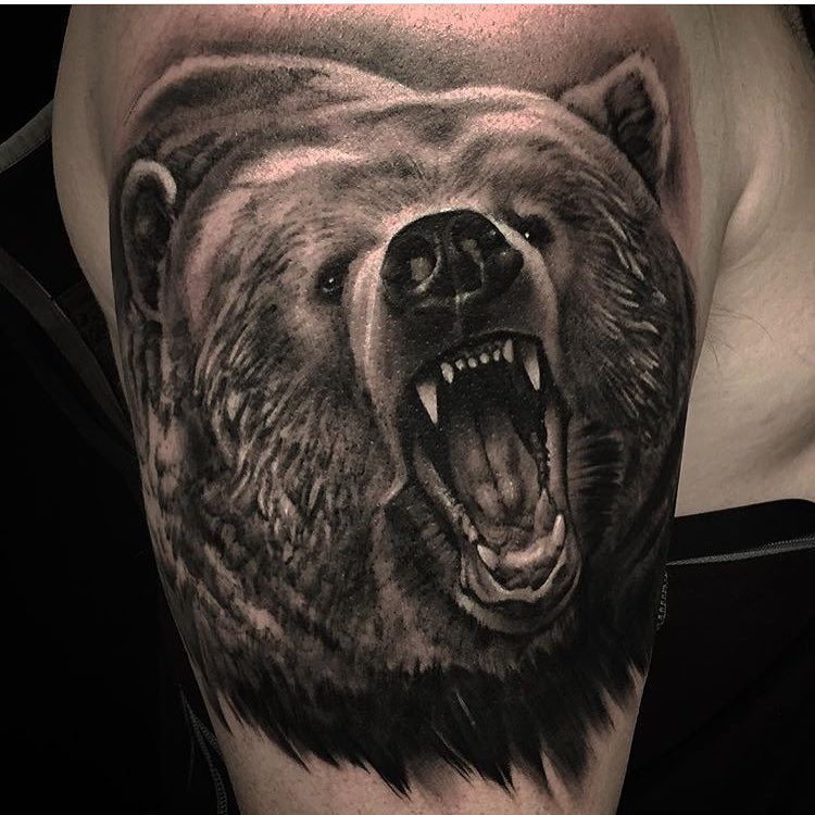 Animal