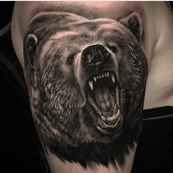 Animal