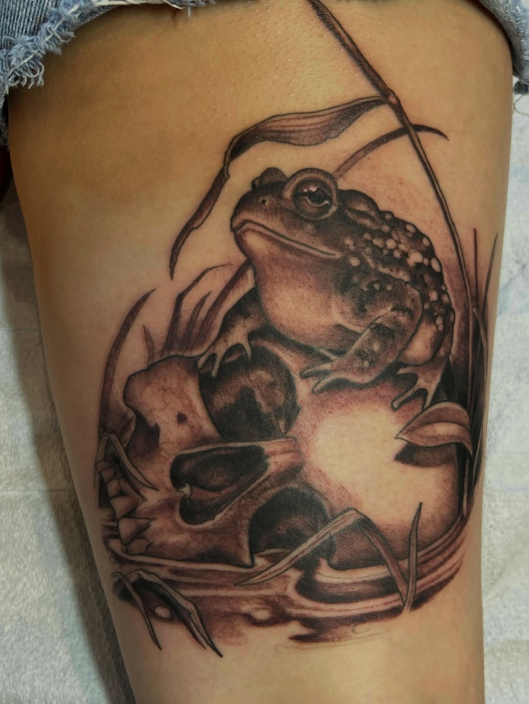 shawn_hebrank
