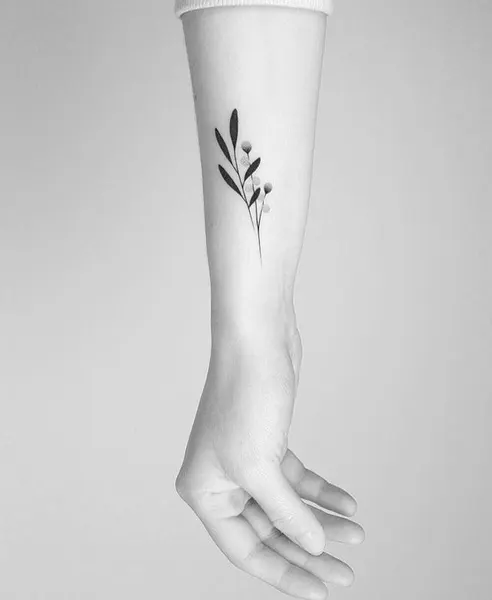Flower, 대나무, 덩굴