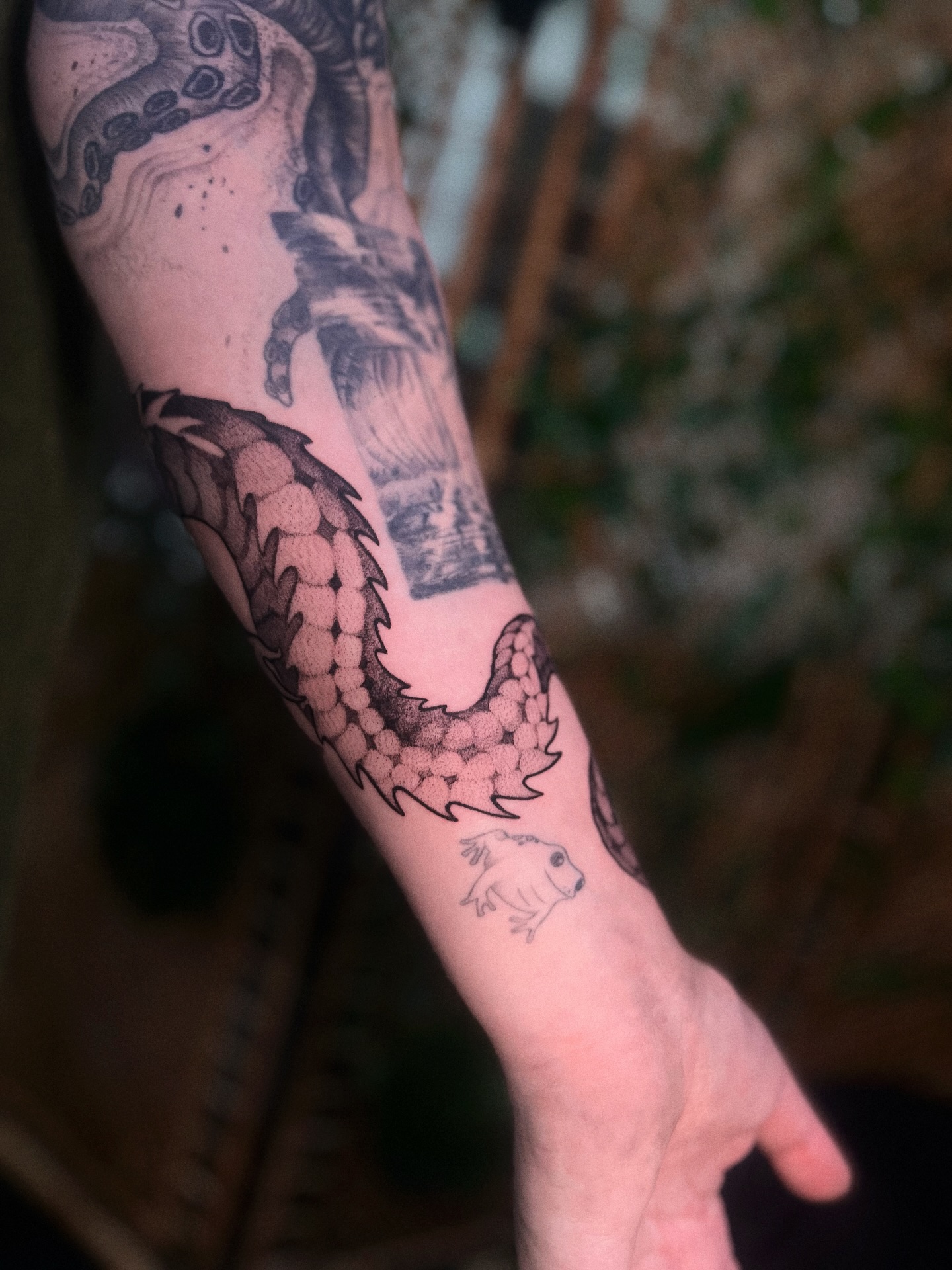 Dragon