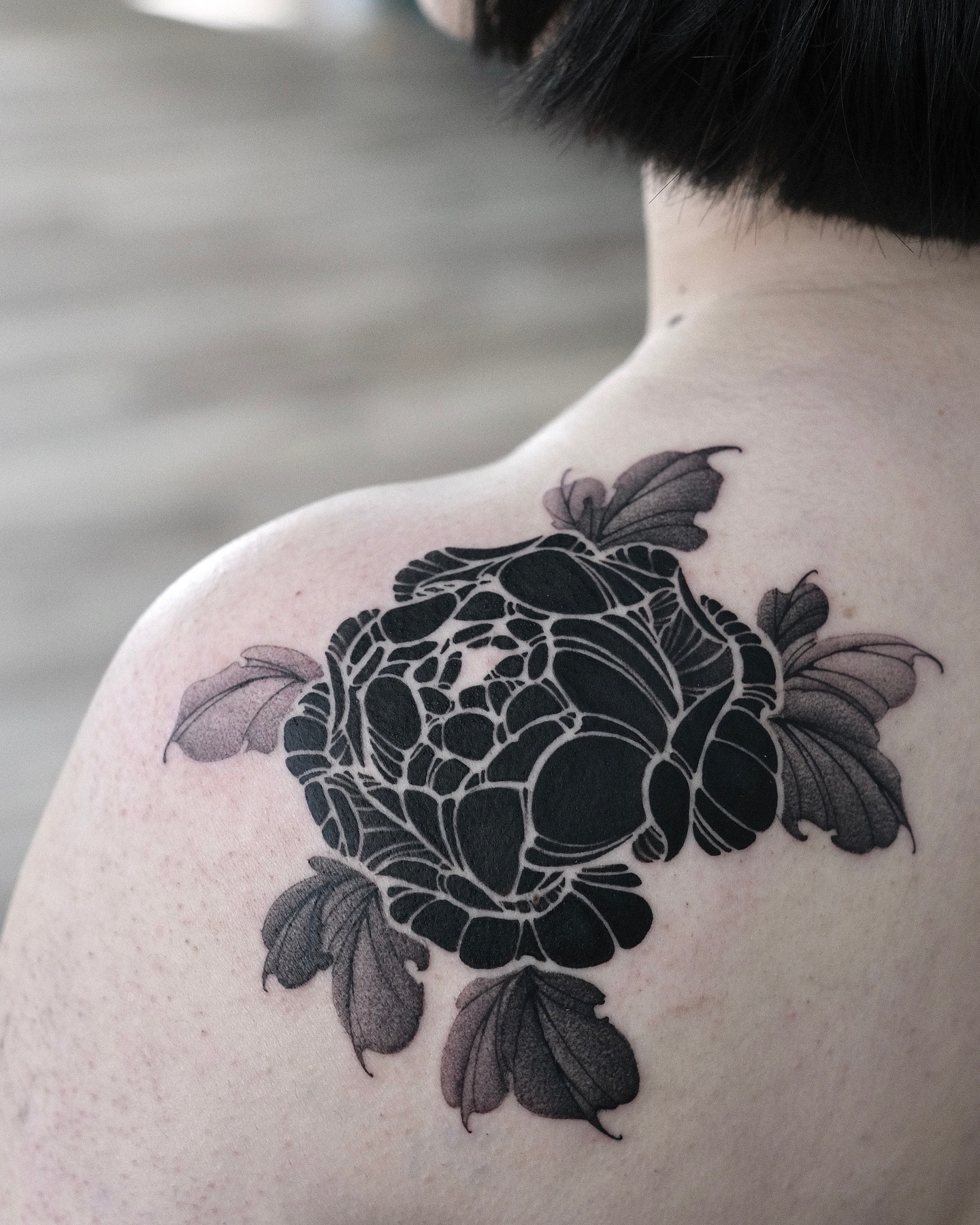 Flower, Nature, Rose